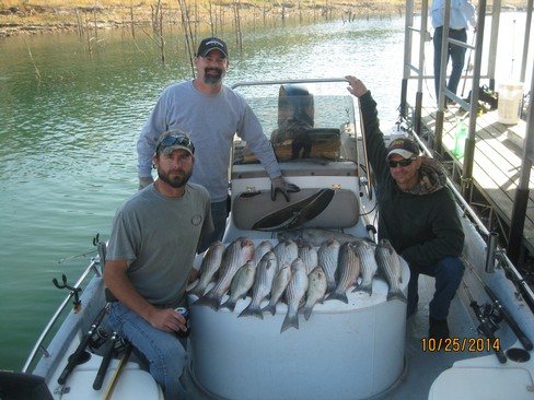 Nice Striped Bass